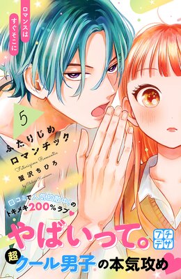 �դ��ꤸ����ޥ���å� �ץ��ǥ� 5��