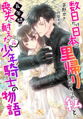 数日だけ日本に里帰りしたつもりの私と、五年間の喪失に耐えた(元)少年騎士の物語