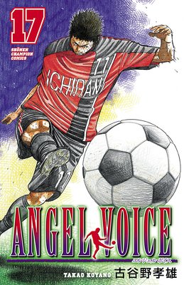 ANGEL VOICE 17