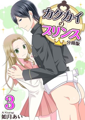 ���������Υץ�󥹡�ʬ���ǡˡ�3��