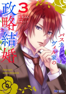 �Х���������Ȥ���ά�뺧�ʥ��ߥå���