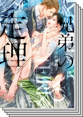 【お買い得セット】兄弟の定理シリーズ3巻セット