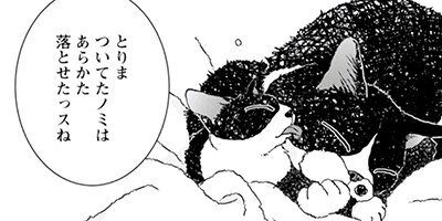 ����������İ���ʤ��� 76