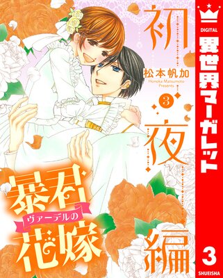 ˽���������ǥ�βֲ� ������ 3