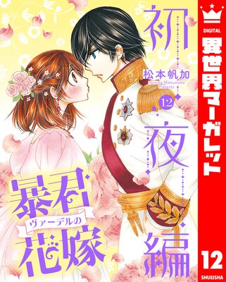 ˽���������ǥ�βֲ� ������ 12