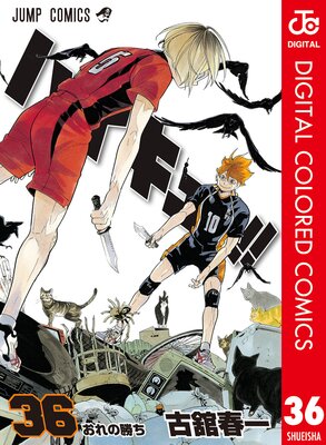 �ϥ����塼!! ���顼�� 36