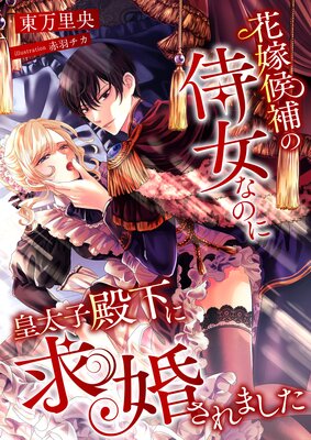 �ֲǸ���λ����ʤΤˡ��������²��˵ầ����ޤ���