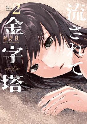 ή����ƶ���� 2��