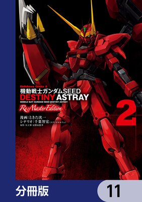 ưΥSEED DESTINY ASTRAY Re Master Editionʬǡ 11