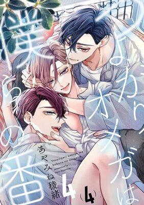 �Ĥ褬�ꥪ�ᥬ���ͤ���� 4��ñ���ǡۡ�4��