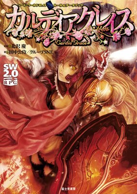 �����ɡ�����2.0�롼����ǡ����֥å� ����ǥ������쥤��