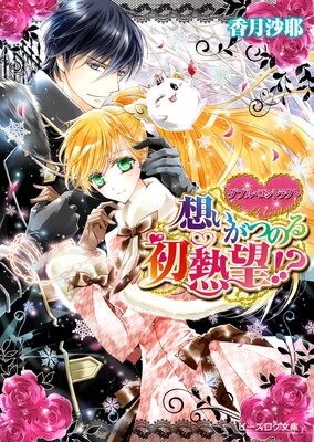 ���֥롦����ȥ饯��6 �ۤ����ĤΤ��Ǯ˾����