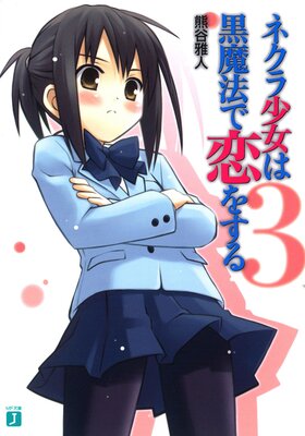 �ͥ��龯���Ϲ���ˡ�����򤹤� 3