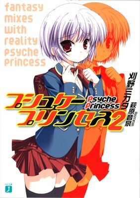 �ץ��奱���ץ�󥻥� 2