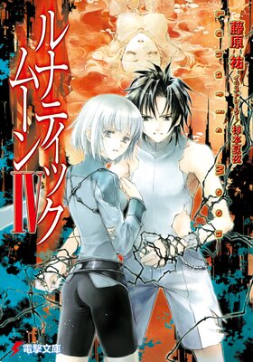 ��ʥƥ��å����ࡼ��IV