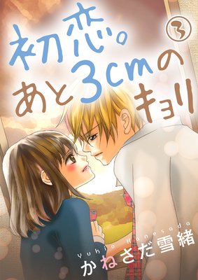 ����������3cm�Υ�����3��