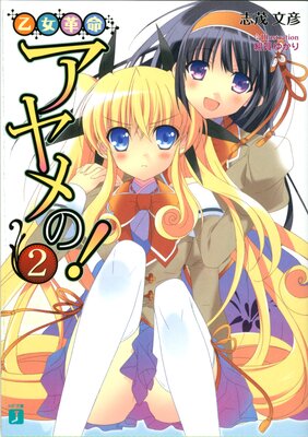 ������̿�����Ρ� 2