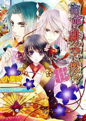 ��̿����ζ���ǳ�桪 �����ƽ�㱻�����Ͽ��2