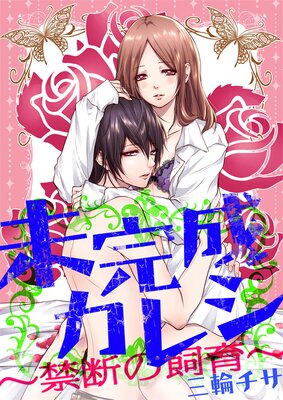 ̤�������쥷�����Ǥλ����ɽ��