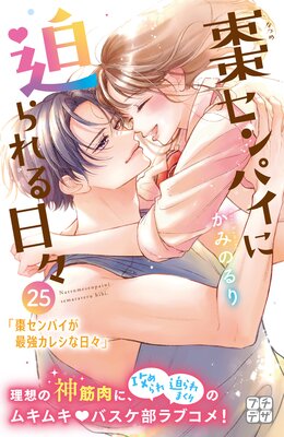 ܧ����ѥ������������� �ץ��ǥ� 25��