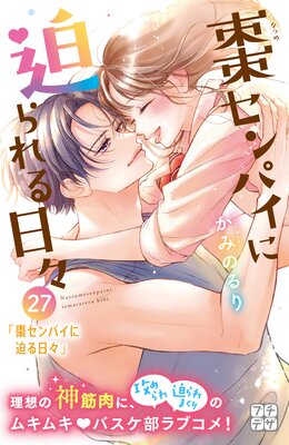 ܧ����ѥ������������� �ץ��ǥ� 27��