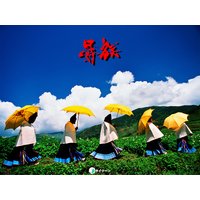 彝族 日本中国写真家共同作品集