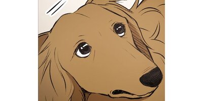 DOG SIGNAL�ڥ��ƥ����� Chapter22�ڥե륫�顼��