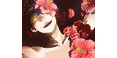 �Ϲ��� ���顼�� 66�ڥե륫�顼��