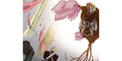 �Ϲ��� ���顼�� 183�ڥե륫�顼��