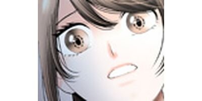 ̤������ 11 �Υ����η�ڥե륫�顼��