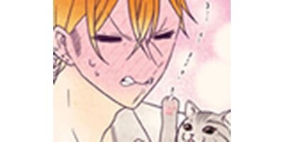 �İ����󥭡��ȷ���ޤ�η� 39�ڥե륫�顼��