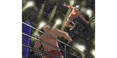 �ۥ磻�ȥ����� 37�ڥե륫�顼��