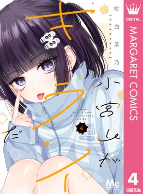 ���ܻ������饤�� 4