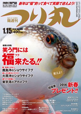 �Ĥ�� 2014ǯ 1��15���ɽ��