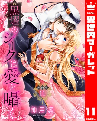 ��ʬ���ǡ۹�ࢤΥ������ϰ����� 11