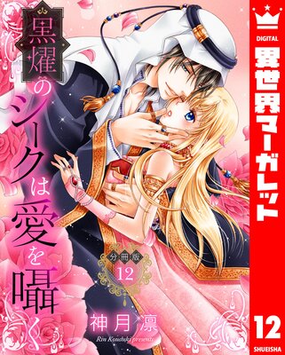 ��ʬ���ǡ۹�ࢤΥ������ϰ����� 12