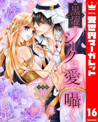 ��ʬ���ǡ۹�ࢤΥ������ϰ����� 16