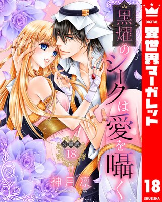 ��ʬ���ǡ۹�ࢤΥ������ϰ����� 18