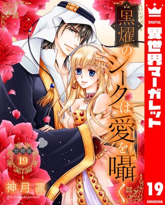 ��ʬ���ǡ۹�ࢤΥ������ϰ����� 19