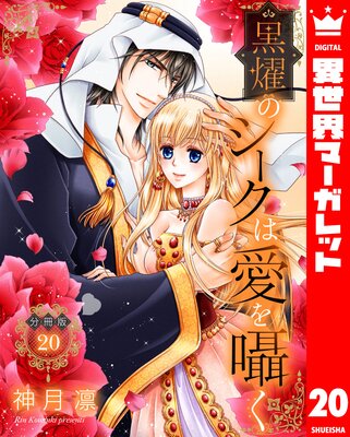 ��ʬ���ǡ۹�ࢤΥ������ϰ����� 20