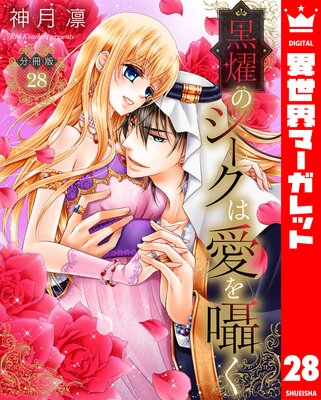 ��ʬ���ǡ۹�ࢤΥ������ϰ����� 28