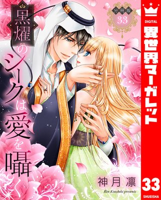 ��ʬ���ǡ۹�ࢤΥ������ϰ����� 33