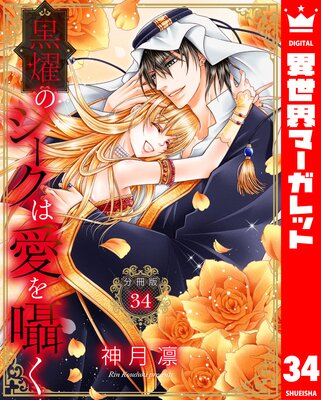 ��ʬ���ǡ۹�ࢤΥ������ϰ����� 34