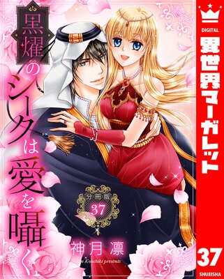 ��ʬ���ǡ۹�ࢤΥ������ϰ����� 37