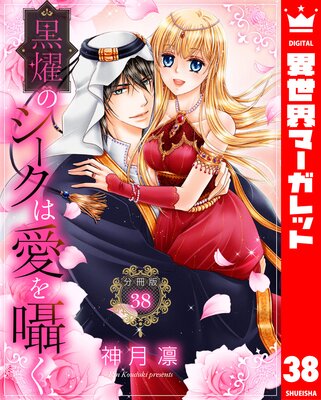 ��ʬ���ǡ۹�ࢤΥ������ϰ����� 38