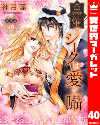 ��ʬ���ǡ۹�ࢤΥ������ϰ����� 40