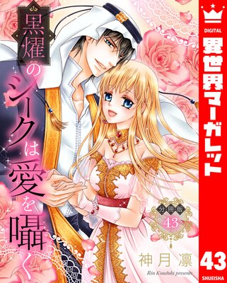 ��ʬ���ǡ۹�ࢤΥ������ϰ����� 43