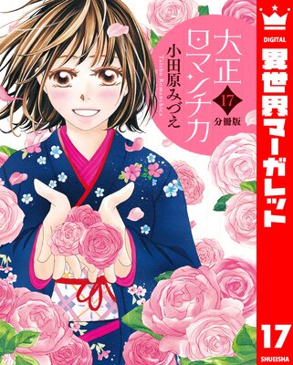 ��ʬ���ǡ��������ޥ���� 17