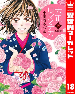 ��ʬ���ǡ��������ޥ���� 18