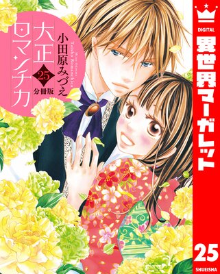 ��ʬ���ǡ��������ޥ���� 25